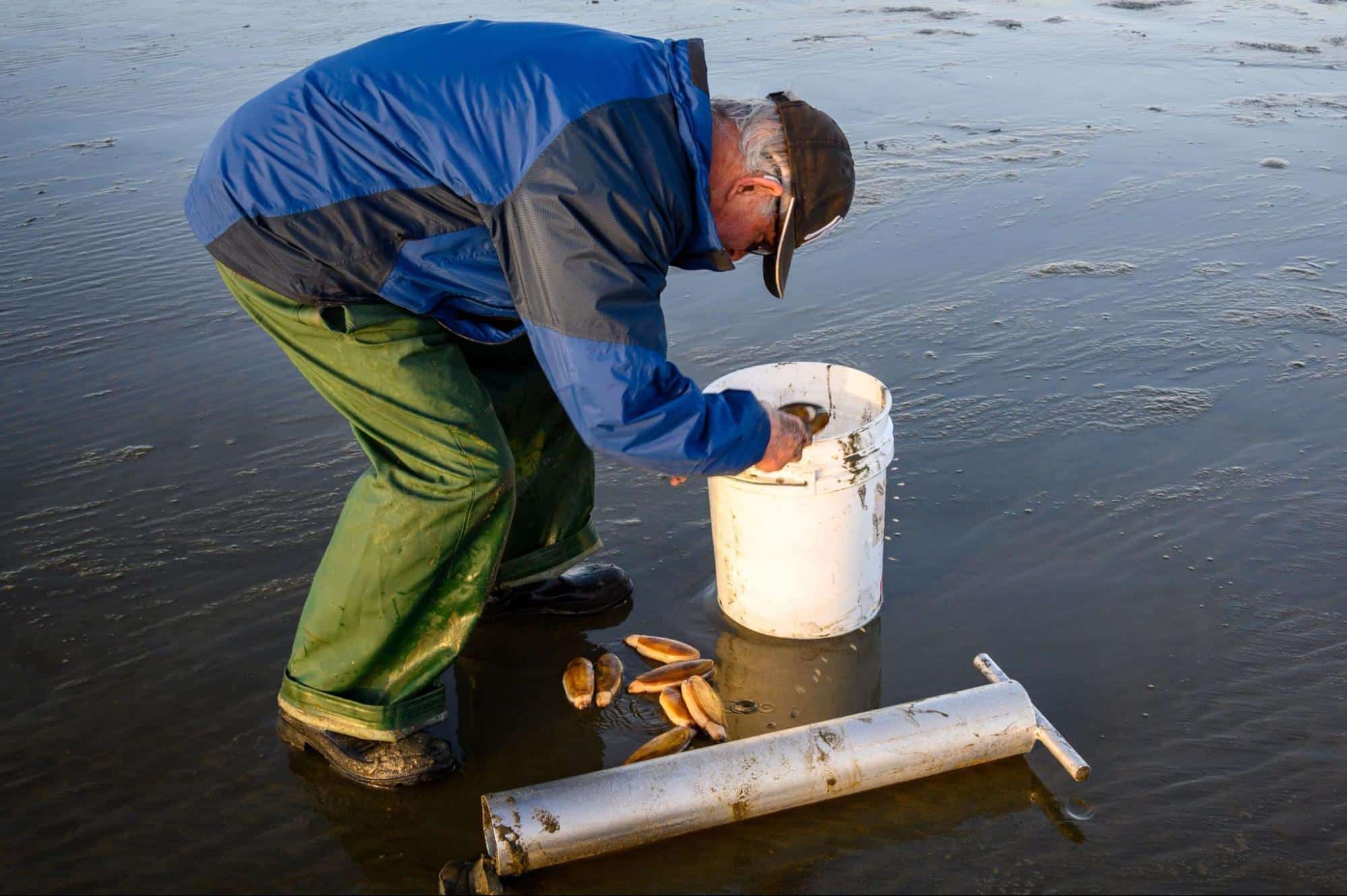 Guide To Washington Razor Clam Season Surfcrest Resort